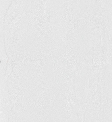 Серые обои в зал Bernardo Bartalucci Gaga  84284-15