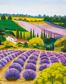 Зелёные фотообои Marburg Gloockler Pompoos Provence 35642