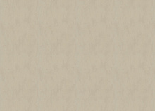Флизелиновые обои Marburg Terra 0,53 см 34625